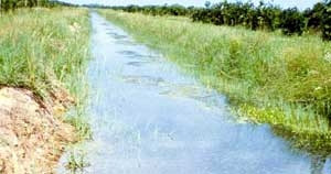 Irrigation System