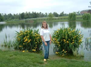 Plant Edgings on Pond