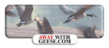 AwayWithGeese