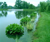 Retention Pond