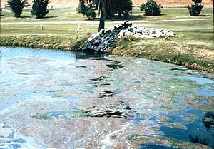 Wastewater Pond