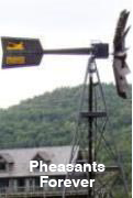 Pheasants Forever Windmill